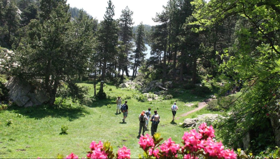 Acrobranche Font Romeu, Font-Romeu-Odeillo-Via, France, France